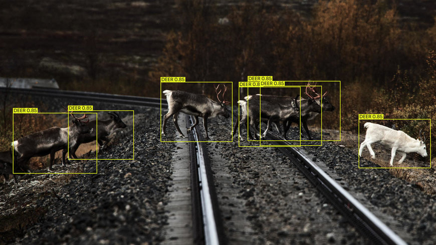 Alstom and Flox receive SEK 3.3 million from Vinnova to test AI technology to combat railway wildlife accidents